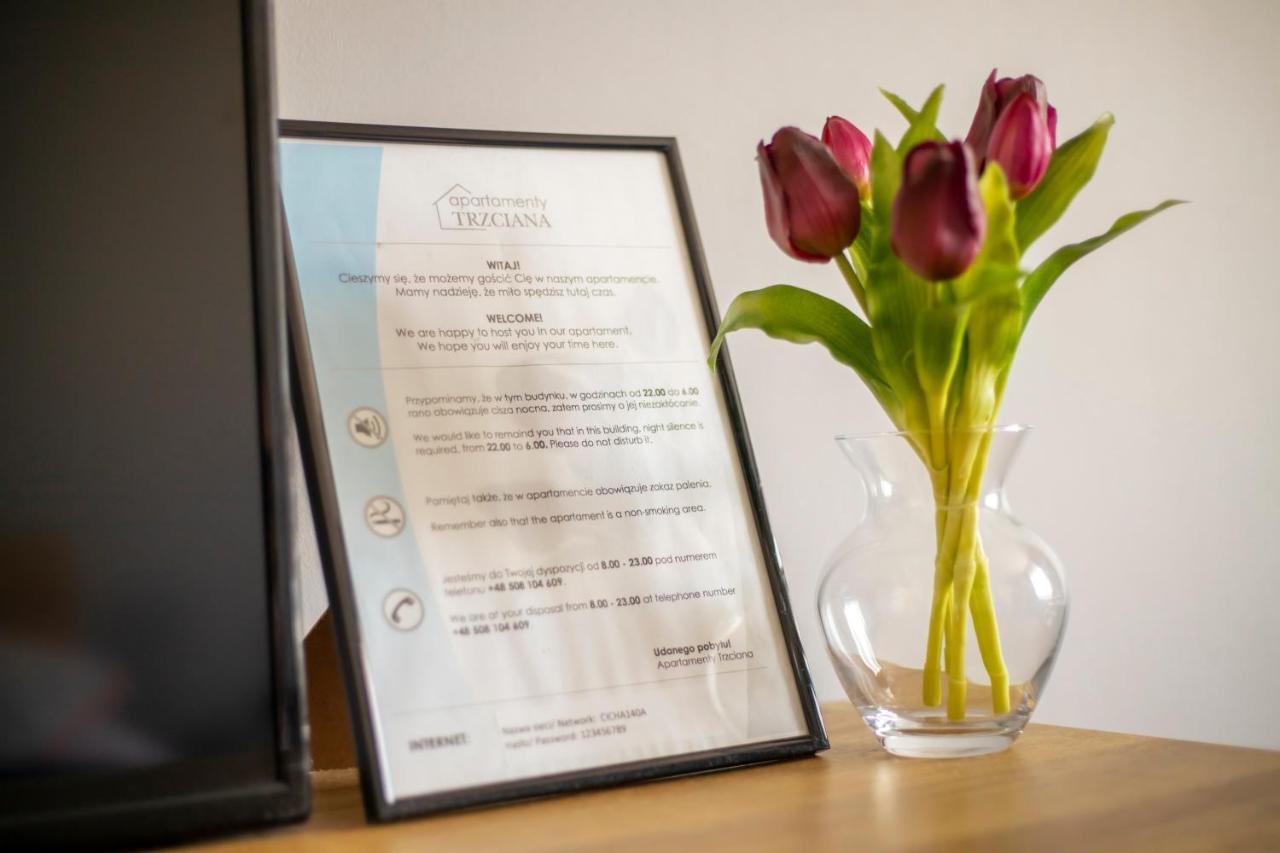 Apartament Cicha Διαμέρισμα Rzeszów Εξωτερικό φωτογραφία